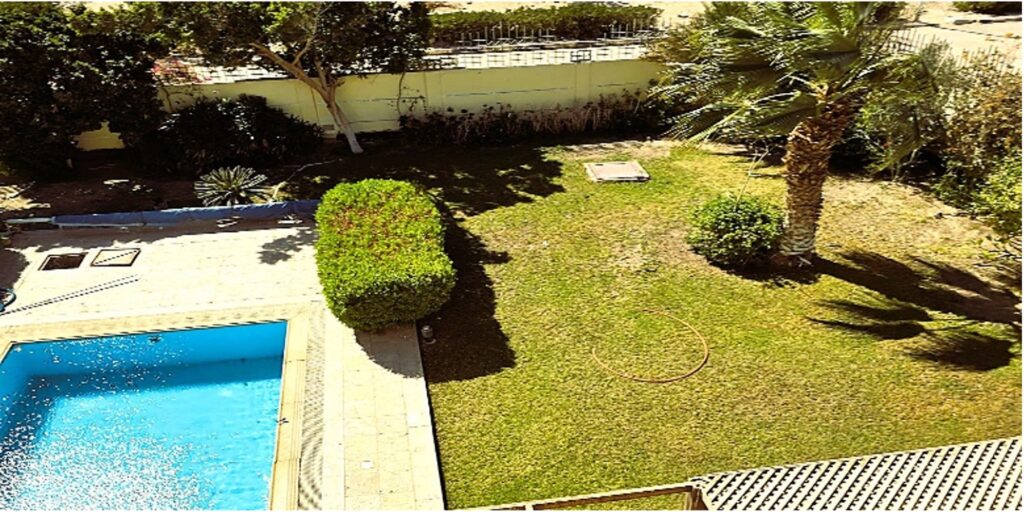 Garten mit Pool und Palmen im Sonnenschein