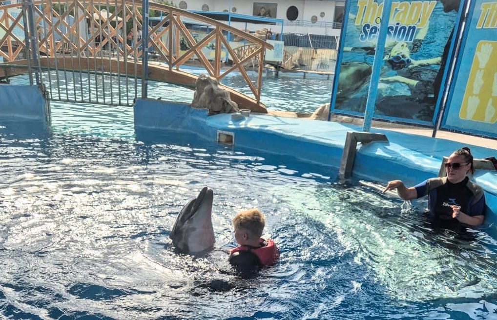 Kind schwimmt mit Delfin in Therapiepool.